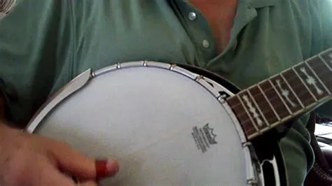  Manzanita  A Soulful Ballad With Vibrant Banjo Picking That Soars Through Appalachian Landscapes